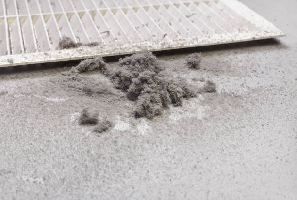 Best Air Duct Cleaning Near Me  in Ava, MO