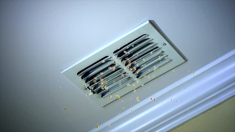 Best Home Air Vent Cleaning  in Ava, MO