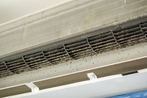 Best General Air Duct Cleaning  in Ava, MO