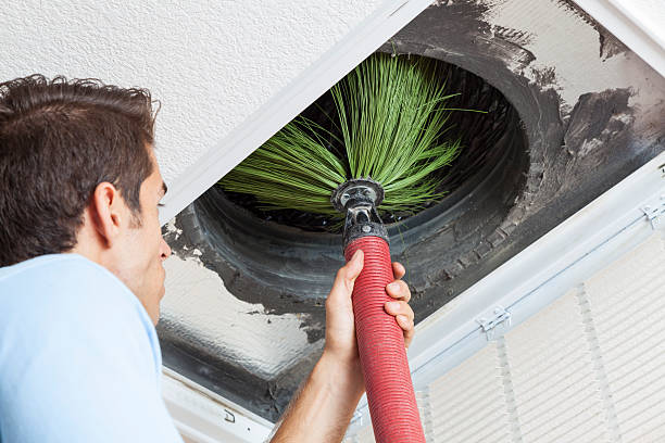 Best HVAC Air Duct Cleaning  in Ava, MO