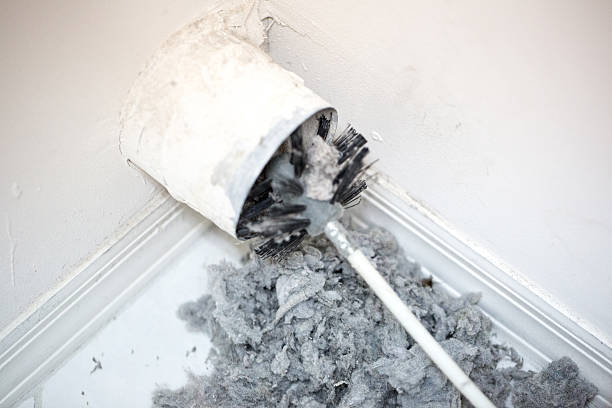 Best Ventilation Cleaning Services  in Ava, MO