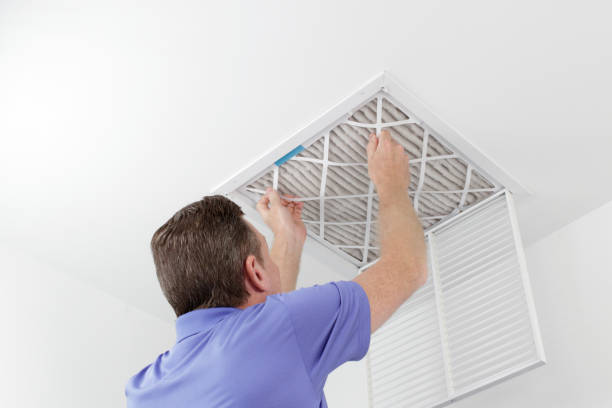 Best Air Duct Sanitizing Services  in Ava, MO